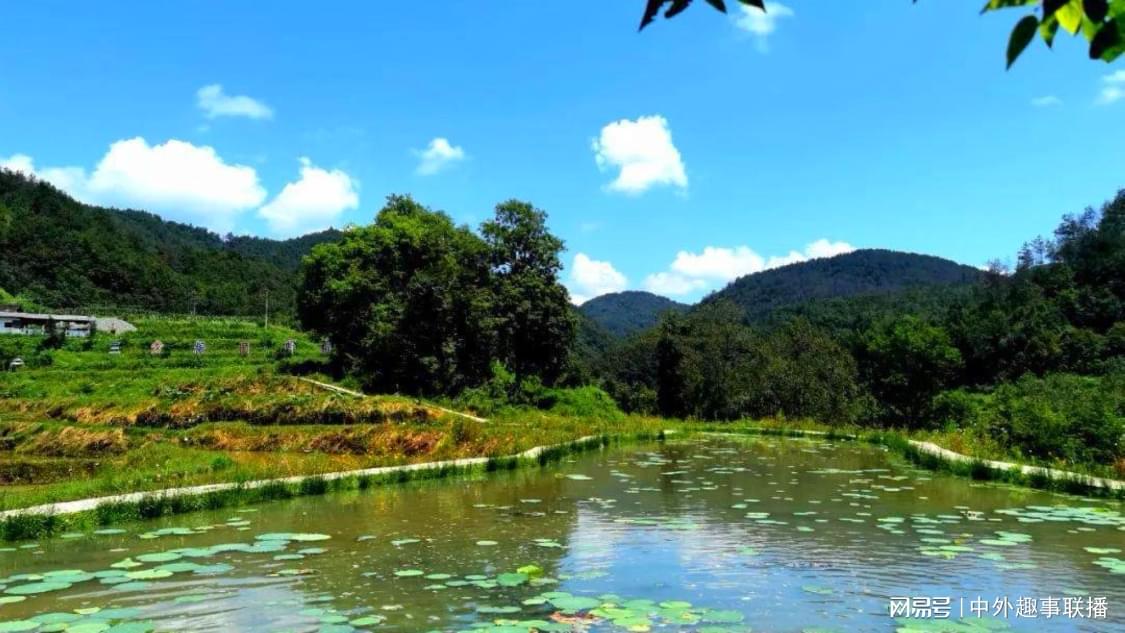 抖音业务平台自助下单网址：高效稳定的电商代运营解决方案助力增长