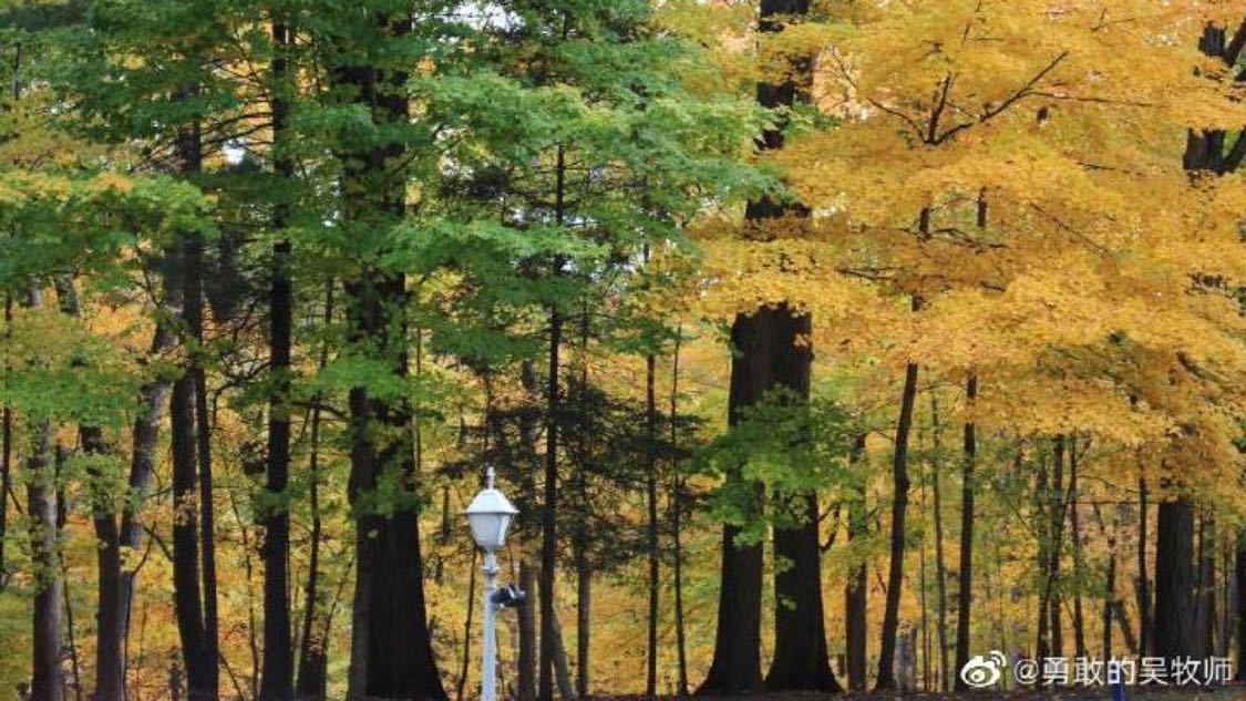 杨博文幻梦都破碎返场
